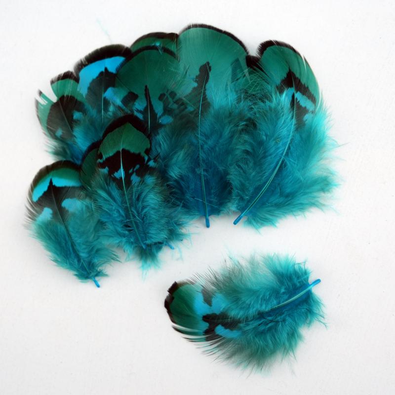 Wedding Supply Bulk - Piume di Fagiano Naturali Fai-da-Te Blu