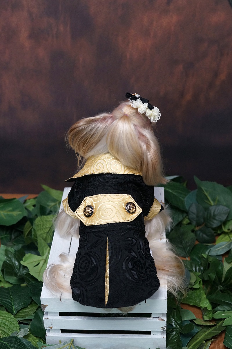 Vestiti per cani fatti a mano  - Suitsupply Wedding Tuxedo recensione e prezzo