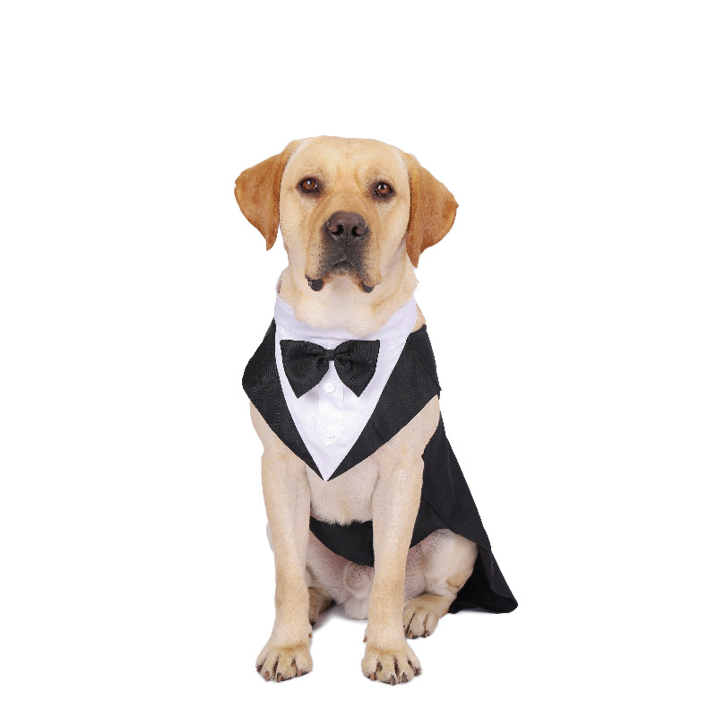 Vestiti per cani da compagnia  - Suitsupply Wedding Tuxedo recensione e prezzo