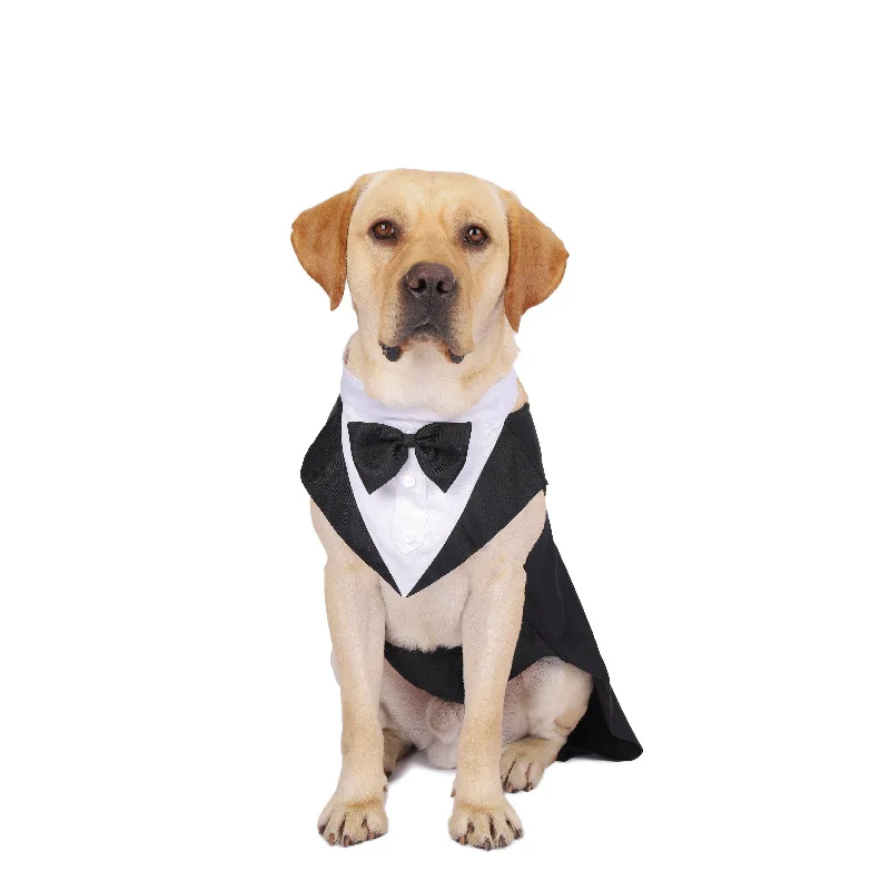 Vestiti per cani da compagnia  - Suitsupply Wedding Tuxedo recensione e prezzo