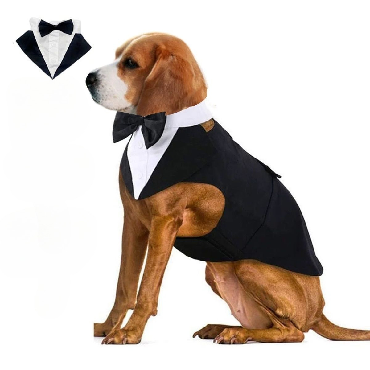 Abbigliamento per Cani: Abito  - Suitsupply Wedding Tuxedo recensione e prezzo